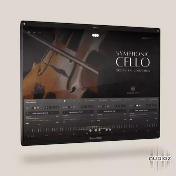 Kompose Audio Symphonic Cello Soundbox iNTERNAL-ohsie