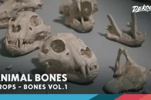 《骨骼 第一卷 – 动物骨骼》Bones VOL.1 – Animal Bones 1 (Nanite + Low Poly)