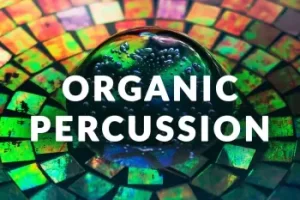 LP24 Organic Percussion：全球采集的创意实体打击乐采样包