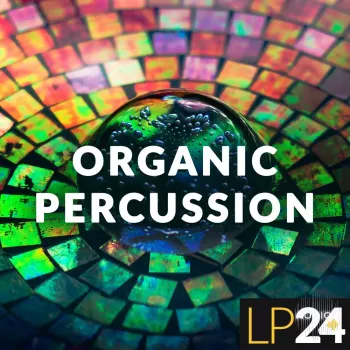LP24 Organic Percussion WAV
