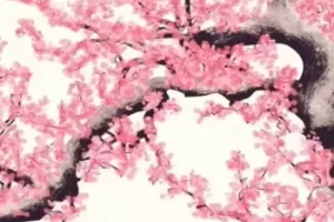 Kazama Yoin Tokyo Kit：专业Trap鼓组音源包，110个808低音打造底层律动