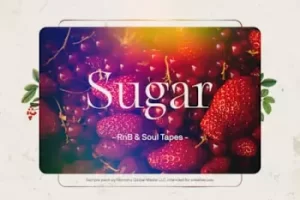 Renraku Sugar R&B与灵魂乐采样包：368个Future Soul无损音频素材