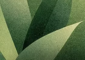Crocus Soundware Liminal µ: Bamboo Winds 竹笛氛围音色库推荐