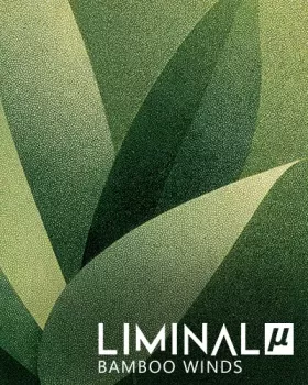 Crocus Soundware Liminal µ: Bamboo Winds KONTAKT