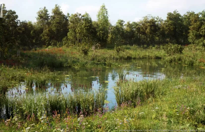 草甸森林树木生物群系 MW Meadow Forest Trees Biome
