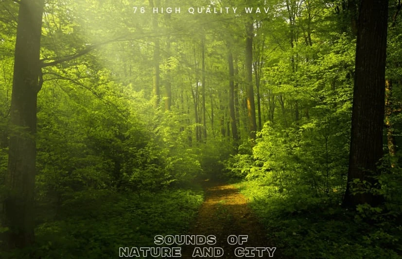 城市大自然声音音效 - Sound Of Nature and City SFX Pack
