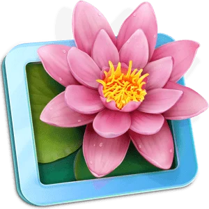 LilyView 1.7.0 MacOS