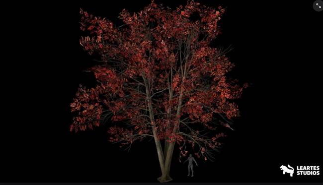 Fab – Sourwood Trees