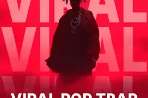 Decliped Samples Viral Pop Trap WAV 融合流行与陷阱音乐采样包