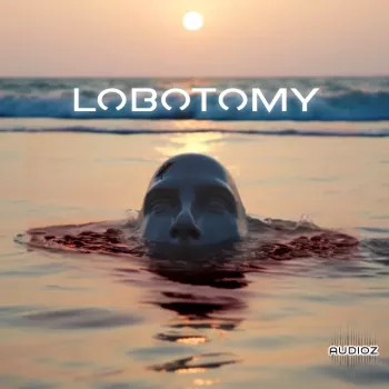 VGNs Components of a Lobotomy WAV MiDi Analog Lab V Bank