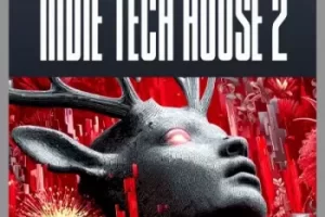 Singomakers Indie Tech House 2 采样包评测：130 BPM 纯手工舞池神曲素材库