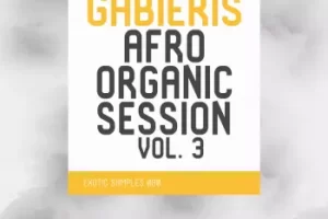 Gabieris Afro Organic Session Vol.3 采样包：205个WAV素材