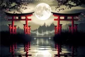 Golden Screw Studio Mugen Yoru 日式氛围 Vital 预设包评测