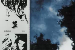 Esthetic Gloom Pal Serum 2 音色库:恐怖暗黑电子音乐制作预设与采样