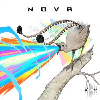 Mattia Cellotto Nova WAV-FANTASTiC
