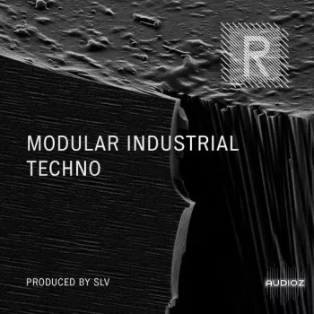 Riemann Kollektion Riemann Modular Industrial Techno by SLV WAV MiDi-ARCADiA