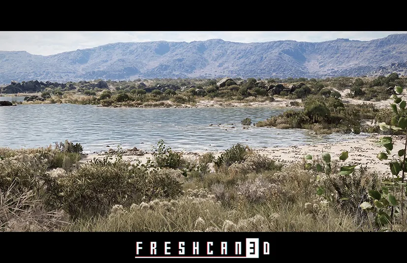 灌木景观环境（干旱平原景观） - Shrubland Landscape Environment ( Landscape , Arid Landscape , Plain Landscape )