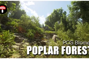 阔叶杨树林 PCG 生态群系 – Broadleaf Poplar Forest – PCG Biome
