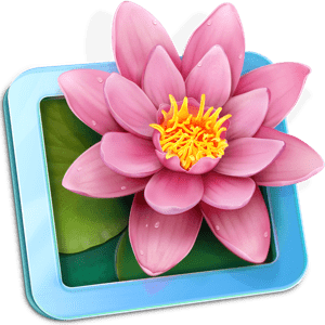 LilyView 1.8.0 MacOS