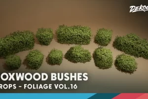 foliage VOL.16 – Boxwood Bushes (Nanite & Low Poly) – Foliage VOL.16 – Boxwood Bushes (Nanite & Low Poly)