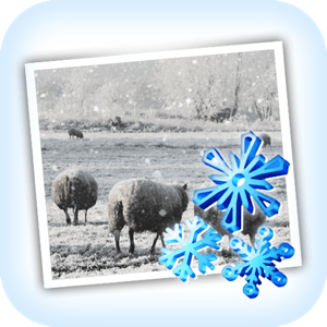JixiPix Snow Daze 1.32 MacOS