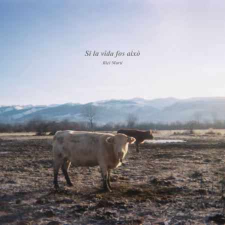 Biel Martí – Si la vida fos això (2026)